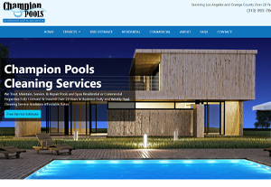 Champion Pools Cleaning Services