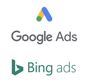 Google/Bing ads tag